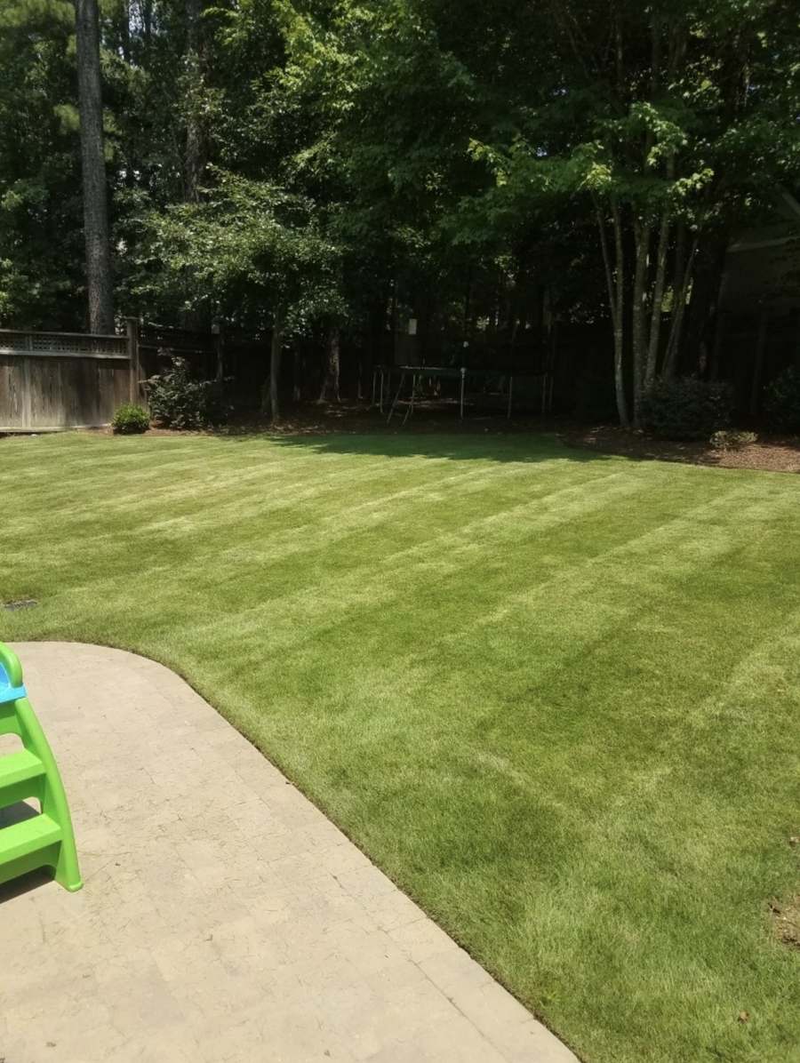 Recent landscaping project