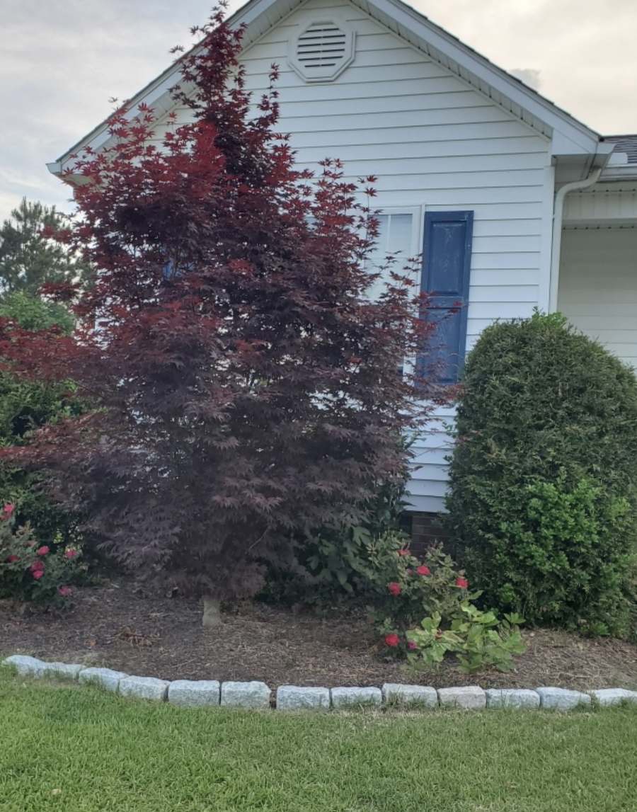Recent landscaping project